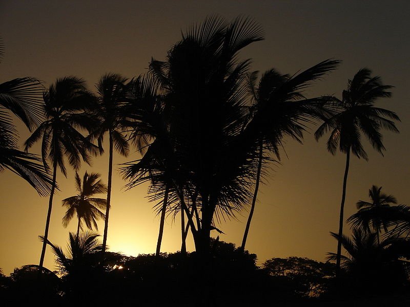 Foto: Creative Commons
