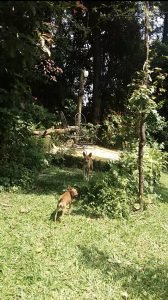 O ambiente de trabalho que viríamos a projetar, antes só tinha uma cadeira